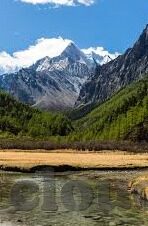 美国成人免费视频-探索成人娱乐的边界，美国成人免费视频的多元视角